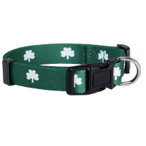 Native Pup St Patrick's Day Dog Collar