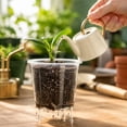 thumbnail image 4 of Clear Plastic Nursery Pot 4in with Drainage Holes Transparent Seedling Cup for Garden Yard Plant Growing, 4 of 6