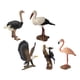 thumbnail image 5 of 5 piezas de simulación de pájaros en miniatura, colección realista hecha a mano para recuerdos de fiesta, juguete para niños, accesorio de enseñanza Estilo C, 5 of 8