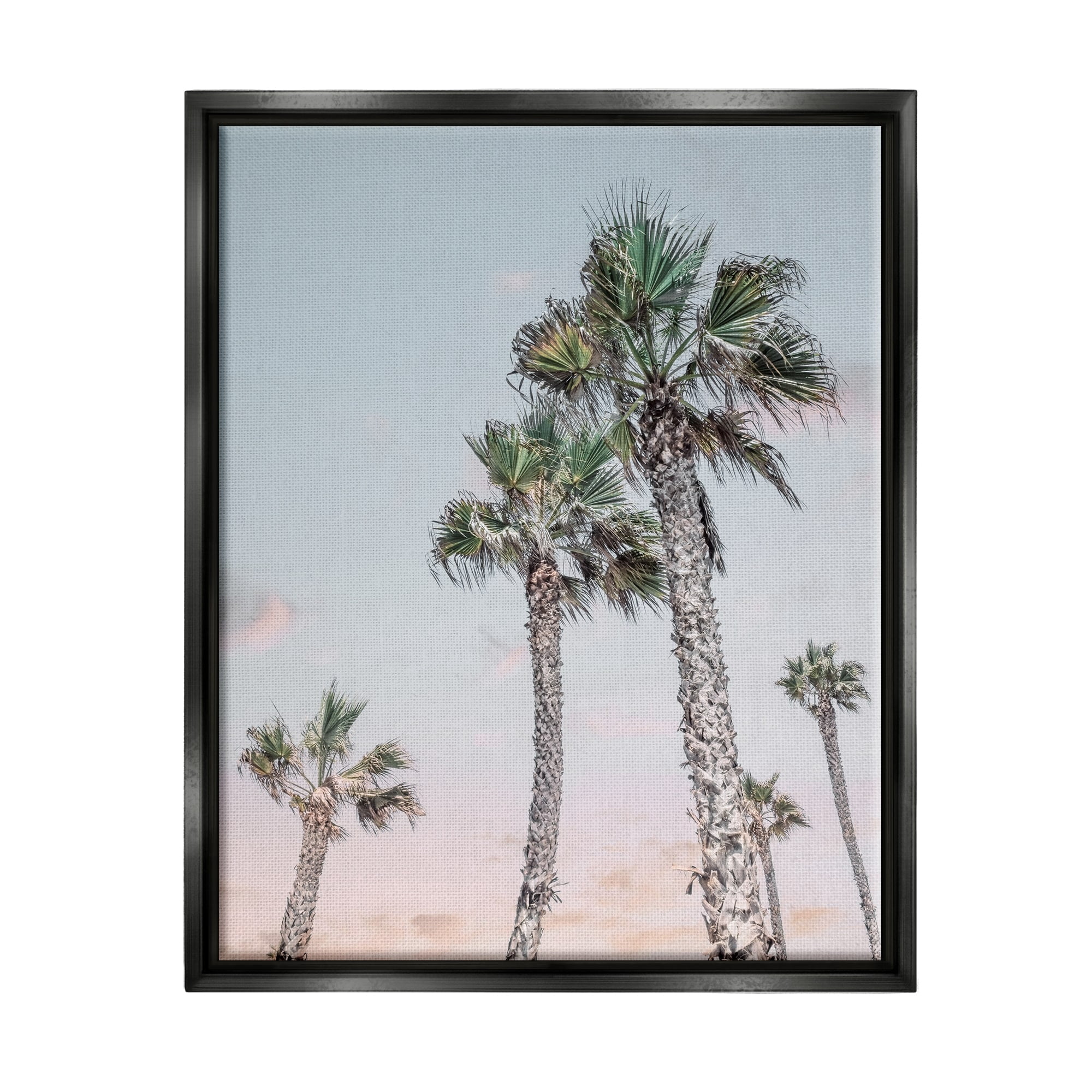 Stupell Industries Tall Tropical Palm Trees Clear Sunset Sky Photograph Jet Black Floating Framed Canvas Print Wall Art, Design by Natalie Carpentieri