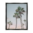 thumbnail image 5 of Stupell Industries Tall Tropical Palm Trees Clear Sunset Sky Photograph Jet Black Floating Framed Canvas Print Wall Art, Design by Natalie Carpentieri, 5 of 5