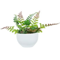 Northlight 11.5" Mixed Succulent and Fern Artificial Potted Plant - Green/White