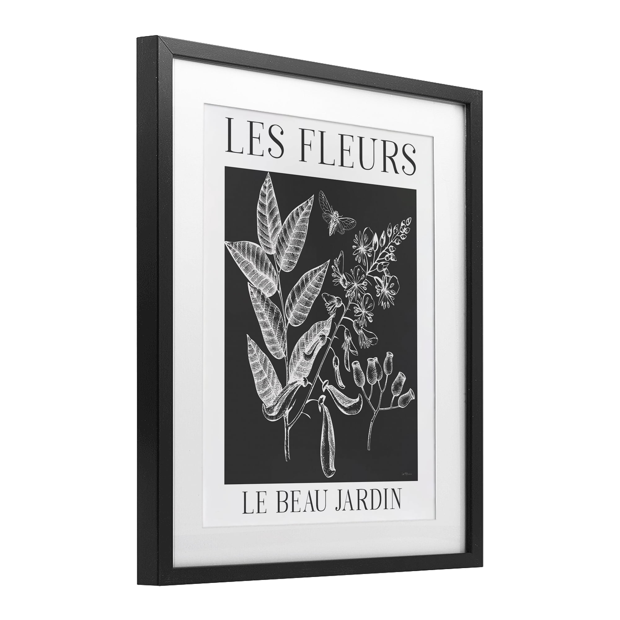 Stupell Industries Les Fleurs Black & White Contour Black Framed Print Under Glass, design by Lux + Me Designs