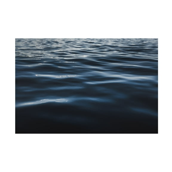 Trademark Fine Art Tim Mossholder Water Textures Canvas Wall Art