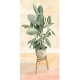 thumbnail image 2 of Jacobs, Cindy 11x18 White Modern Wood Framed Museum Art Print Titled - Plant Stand Pot of Flowers IV, 2 of 4
