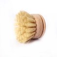 thumbnail image 3 of 2-Pack Replacement Brush – Recambio para Classic Plato Cepillo para Polvo de Lavado WSX 9024736117949, 3 of 5