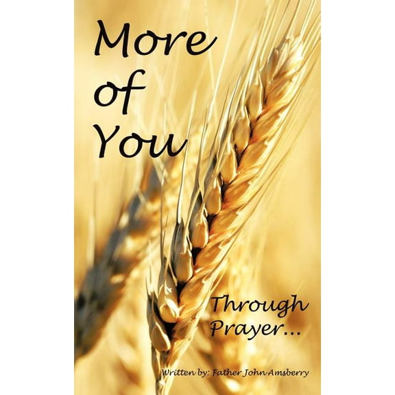 More of You Through Prayer.  Paperback  John Amsberry