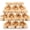 Brown-10pcs, variant on MorisMos 10 Packs Teddy Bear Baby Shower Bulk Teddy Bear Stuffed Animals