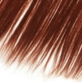 thumbnail image 4 of MERIGLARE Poupée de Mode 25 cm Cheveux Longs et Raides Accessoire Bricolage Cuivre, 4 of 7