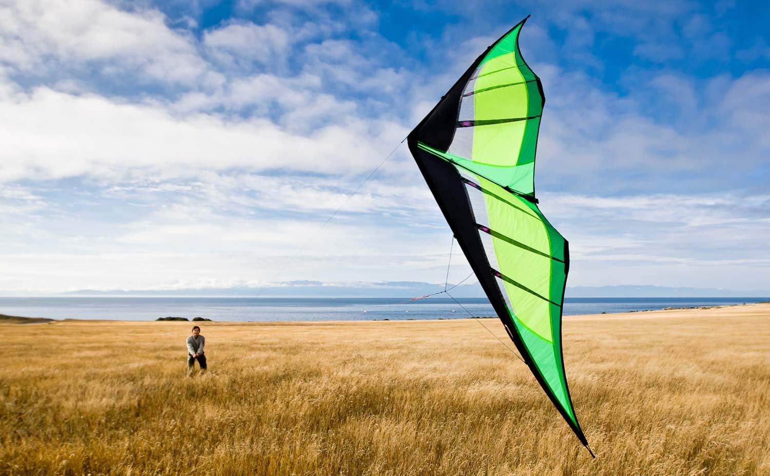 Hypnotist Sport Kite Fire