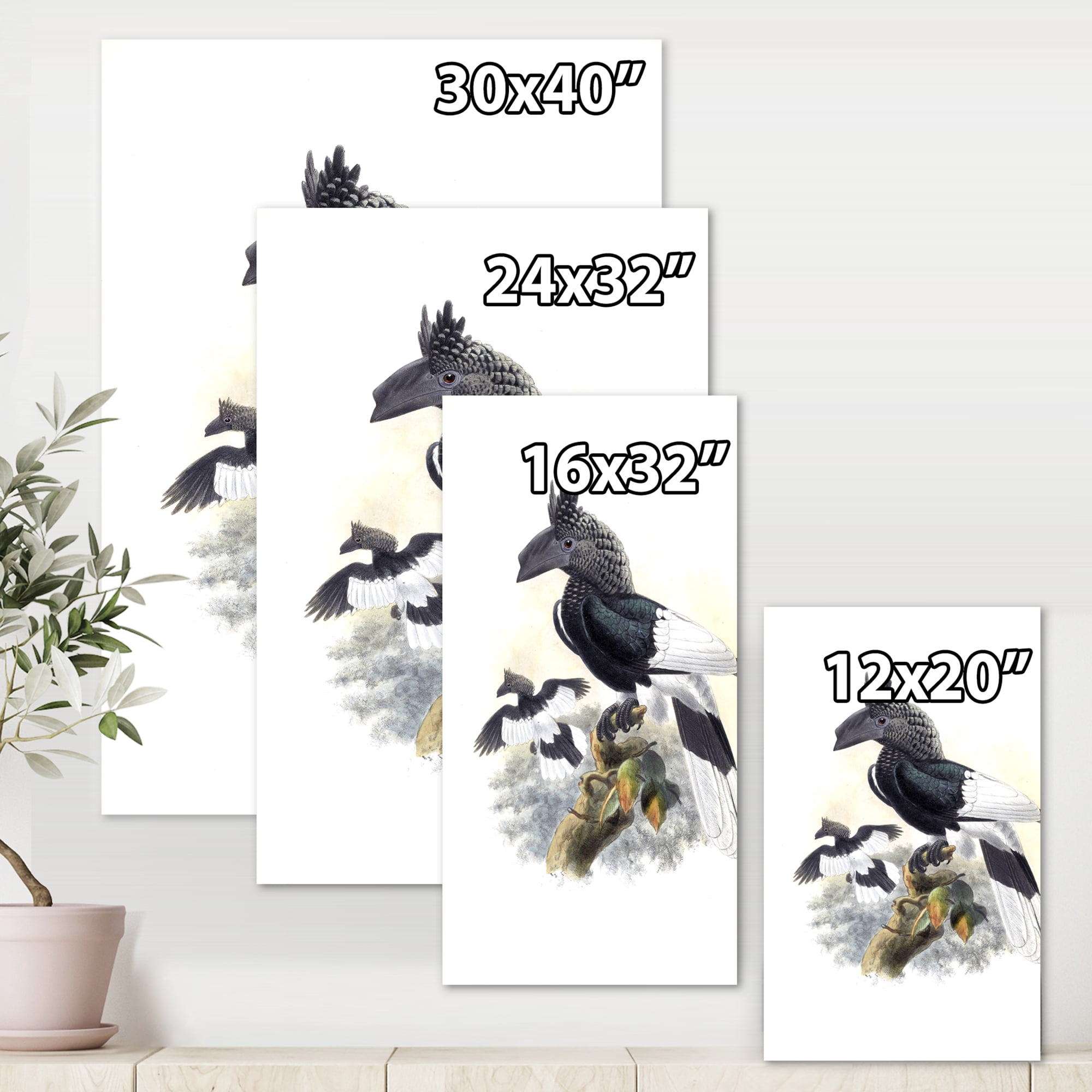 Designart ' Ancient Australian Birds XVI ' Traditional Canvas Wall Art Print