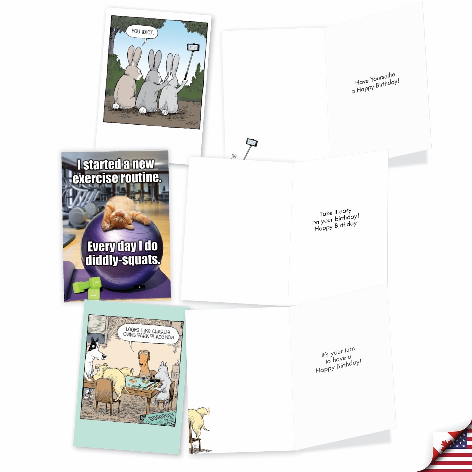 NobleWorks 20 Assorted Box Set Funny Birthday Greeting Cards w/5 x 7 Inch Envelopes (10 Designs, 2 Each) Bday Birthday Bonanza AC8837BDG-B2x10