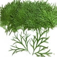 thumbnail image 3 of DOLITY 10Pcs Natural Pressed Dried Flowers &Leaves Making Materials For DIY Arts Crafts 03, 3 of 7