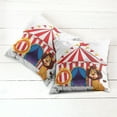 thumbnail image 2 of Ambesonne Circus Throw Pillow Cover 2 Pack, Lion and Ring Illustration, 20", Multicolor, 2 of 6