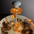 thumbnail image 4 of Decoraciones 3D Luces de hadas, Bellota de otoño de tamaño completo 2M 20 LED USB con control remoto para decoración de baby shower de cocina, 4 of 5