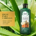 thumbnail image 3 of Shampoo Herbal Essences Bio:Renew Aloe & Mango 400 ml, 3 of 5