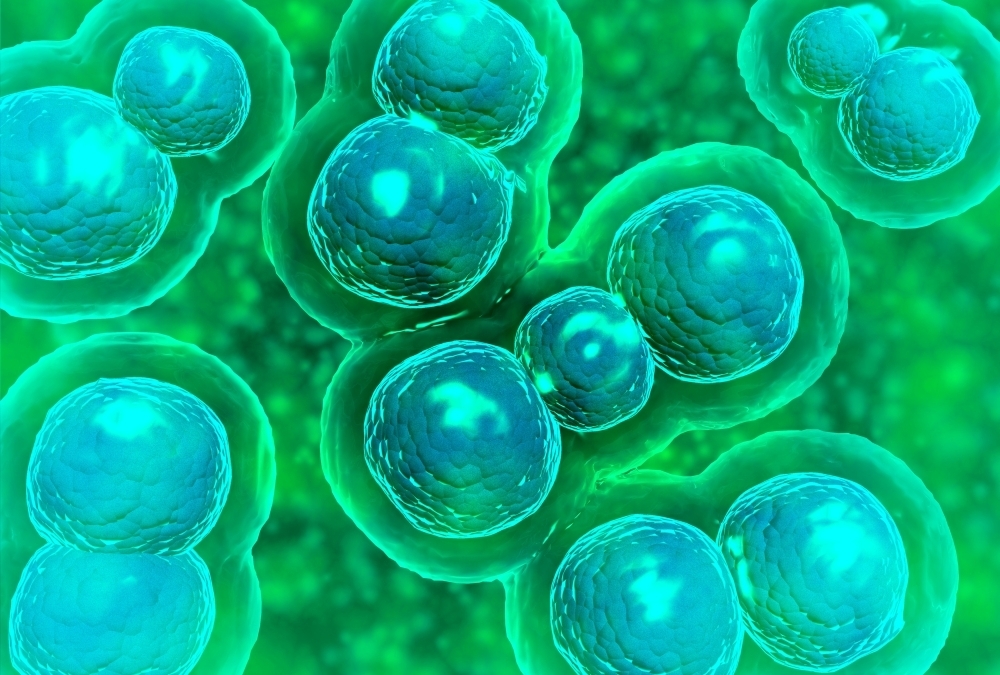 Microscopic view of chlamydia. Chlamydia is a common sexually