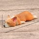 thumbnail image 5 of Lindo estilo Serie Sleepless Súper lindo Pequeño Corgi Modelo Chai Perro Hecho a mano DIY Refrigerador Pegatina Muñeca Pegatina magnética, 5 of 5