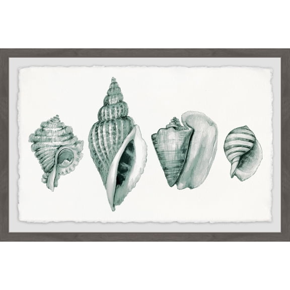 Four Shells Framed Painting Print