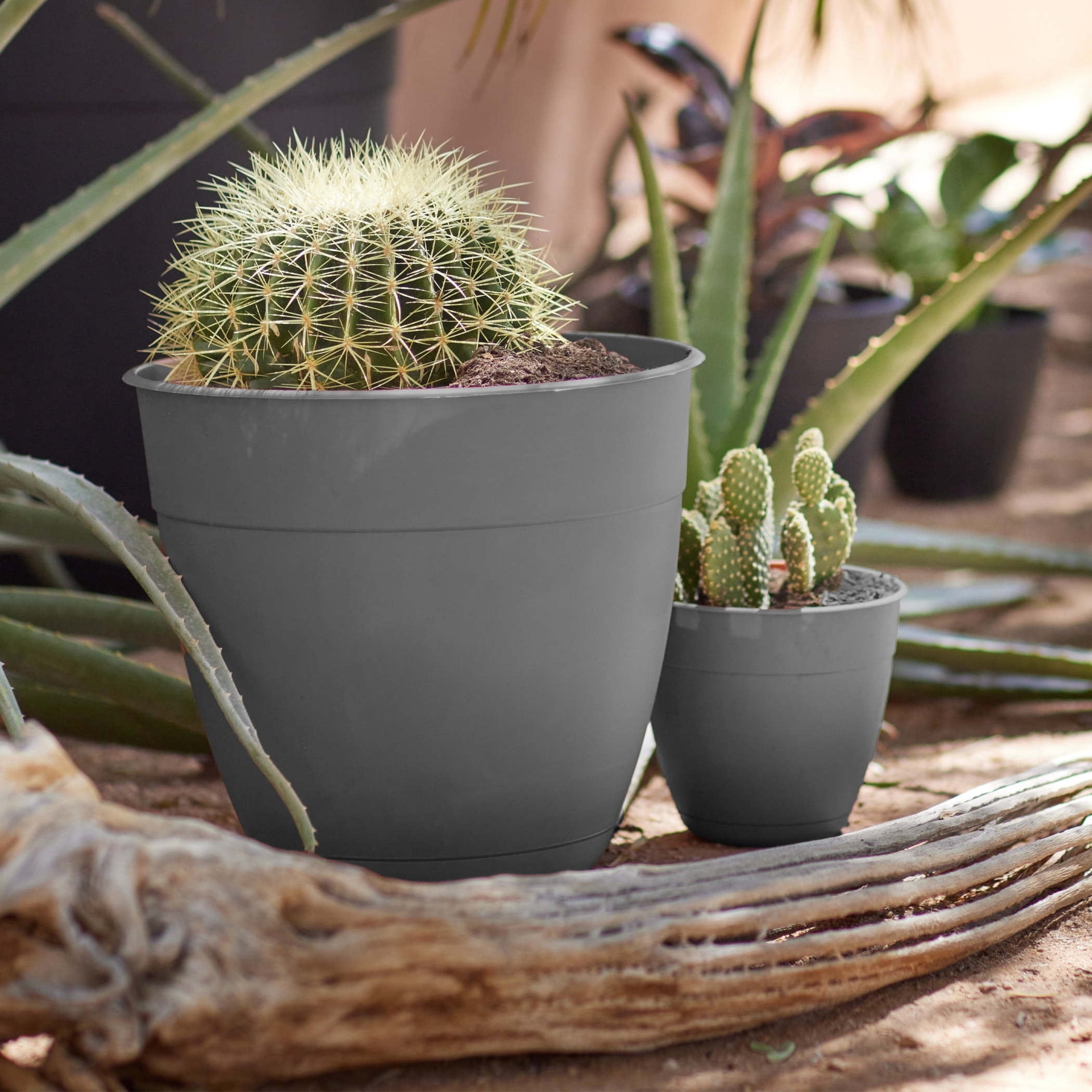 Bloem Dayton 6" Plastic Planter - 100% Recycled Plastic Indoor/Outdoor Garden Pot with Drainage Holes & Saucer Tray, Charcoal
