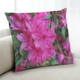 thumbnail image 1 of Ahgly Company Color Focus Pink Indoor Throw Pillow, 18 inch by 18 inch, 1 of 6