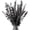 Black, variant on Real Dried Eucalyptus Stems, 20Pcs 17inch Red Preserved Fresh Eucalyptus Stems Plant for Home Vase Wedding Festival Floral Arrangement Fall Flowers Decoration