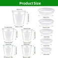 thumbnail image 6 of RICHOOSE 5 Pack Clear Orchid Pots with Drainage Hole, 4/5/5.5/6/7 Inch Transparent Plastic Orchid Pots with Saucer, 6 of 8