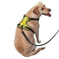 thumbnail image 3 of Bingfone Bright Lemons No Pull Dog Vest Harness For Small Medium Large Dogs Strap For Puppy Walking,Training,Dog Harness-Medium, 3 of 9