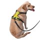 thumbnail image 2 of Fotbe Bright Lemons Arnés para Perro con Estampado –Chaleco Ajustable Acolchado con Asa de Control para Perros Grandes-Small, 2 of 6