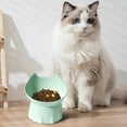 thumbnail image 4 of 15° Tilted Anti-Slip Pet Food Bowl, Non-Spill Non-Tip Design for Dogs and Cats, Easy to Clean Plastic Feeding Dish with Wide Base, 11.5x12.5x13cm, 4 of 7