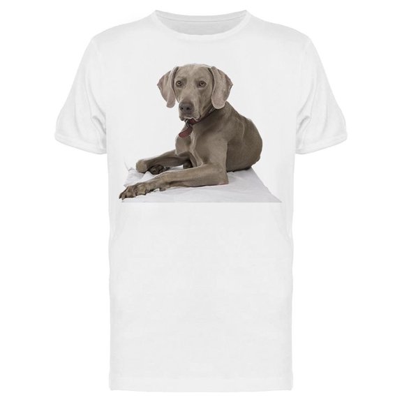 A Laid Weimaraner Tee Men's -Image by Shutterstock