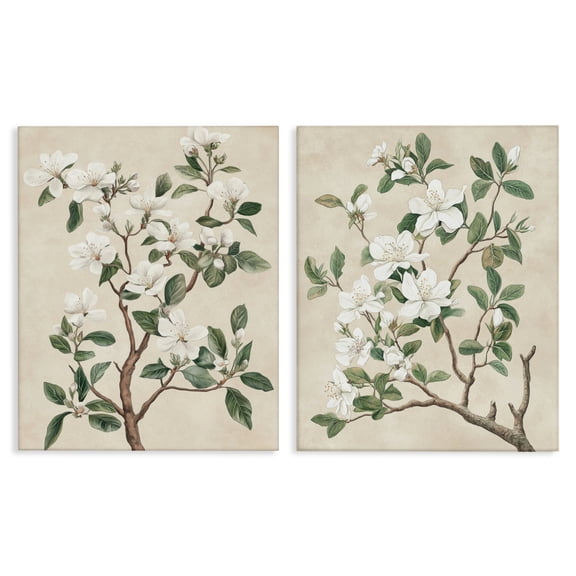 Stupell Industries Vintage White Floral Blossomed Trees 2 Piece Canvas Wall Art Set, design by Petal Prints Design