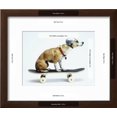 thumbnail image 3 of Dog with Helmet Skateboarding, Animals Framed Art Print Wall Art by Chris Rogers Sold by Art.Com, 3 of 6