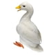 thumbnail image 1 of Adorno de Jardín DYNWAVEMX Decoración DIY Plumas Artificiales Vívidas Blanco, 1 of 8