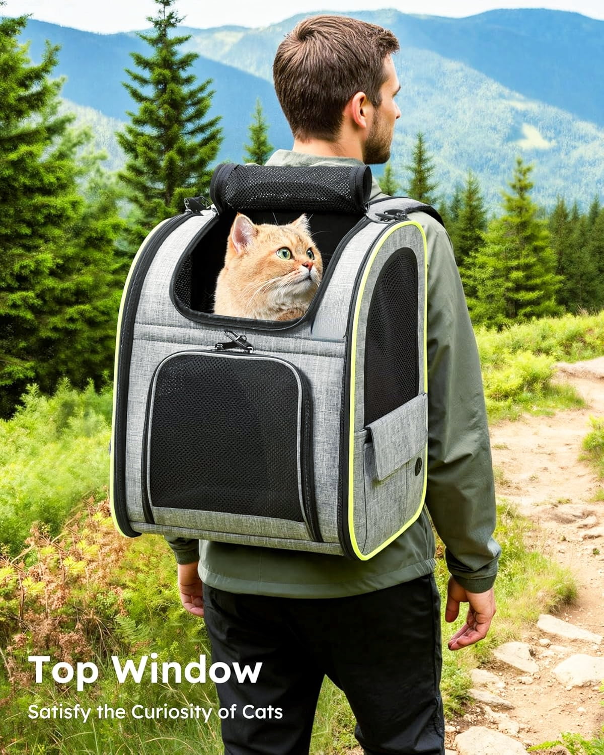 Foldable Pet Backpack in Gray for Cats and Small Dogs Up to 11lbs with Airy Mesh