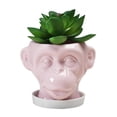 thumbnail image 1 of Forma De Cara De Animal, Maceta De Cerámica Irregular Para Jardín, Escultura, Adornos Artesanales, Maceta Para Decoración Del Hogar matsuzay HA041308-02, 1 of 6