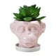 thumbnail image 1 of Forma De Cara De Animal, Maceta De Cerámica Irregular Para Jardín, Escultura, Adornos Artesanales, Maceta Para Decoración Del Hogar Advancent HA041308-02, 1 of 6