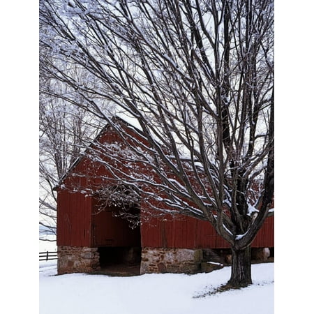 Pottery Barn Outlet Virginia Barn and maple after snowfall, Fairfax County, Virginia, USA Print Wall Art By Charles Gurche ()