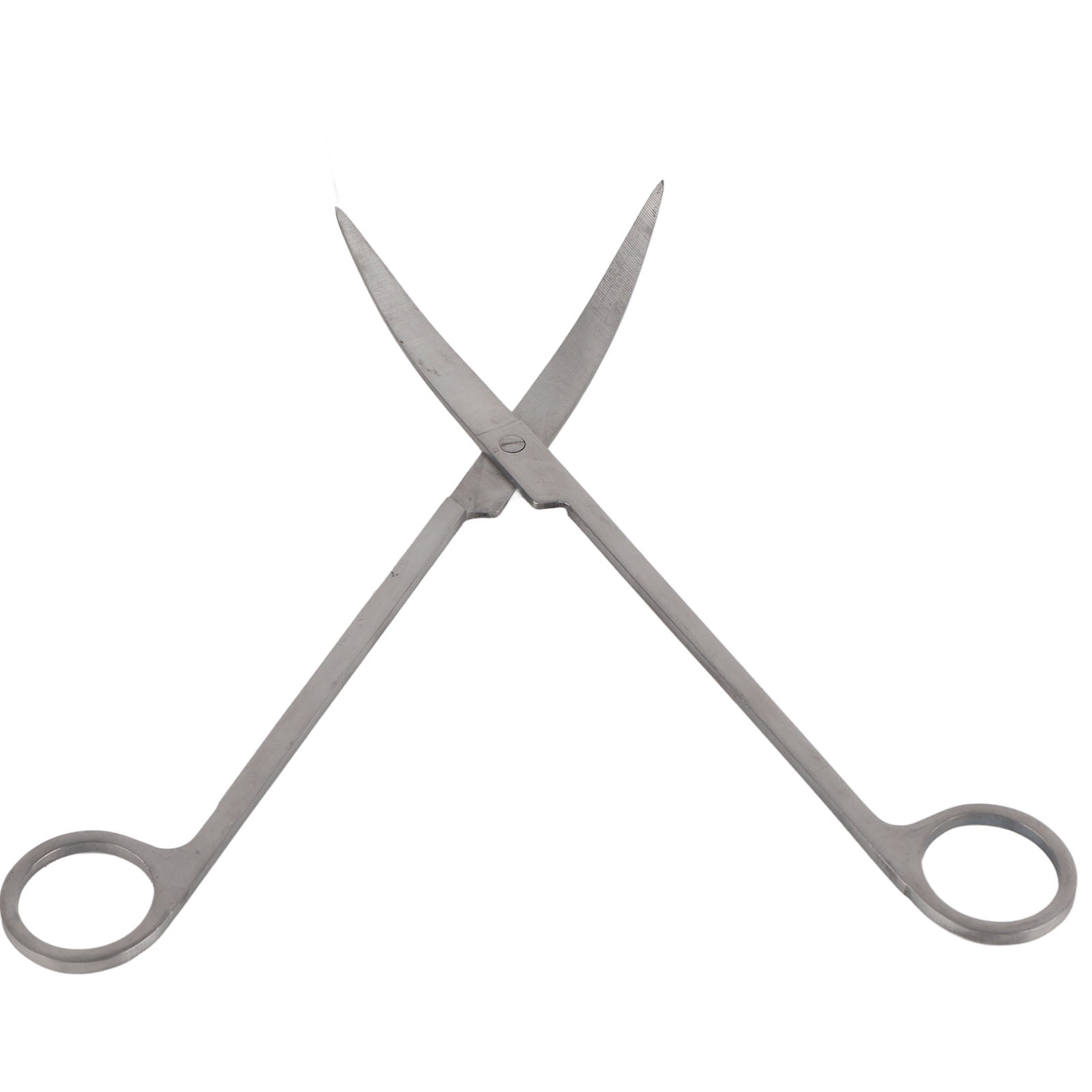 BIMZUC Professional Stainless Steel Aquatic Plant Curved Scissors Tongs for Aquarium Fish Tank Cleaning, 10 inches / 25.4 cm
