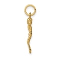 thumbnail image 2 of Finest Gold 14K Yellow Gold Corpus Charm, 2 of 4