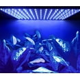 thumbnail image 3 of HQRP 14W 225 Blue LED Grow Light Panel for growing Flowers Bonsai, Orchids, Saffrons, Hibiscus + Hanging Kit, 3 of 7
