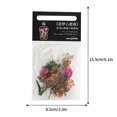 thumbnail image 3 of Tainini 3-Pack, Color, Soda or Beverage Can Lid, Cover or Protector, 3 of 4