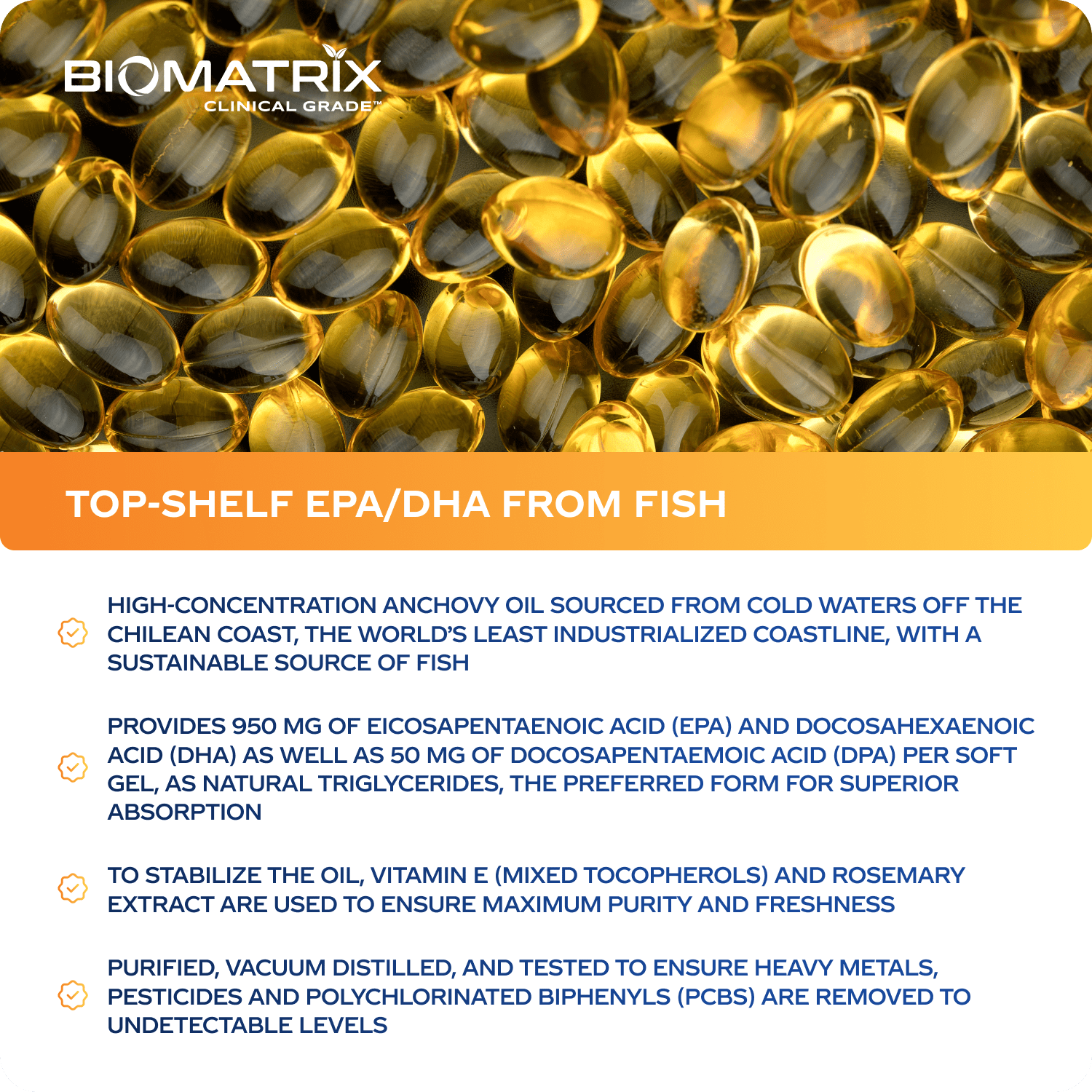 BioMatrix Support Omega - Omega 3 Fish Oil - Cardiovascular, Musculoskeletal Support, 120 Caps