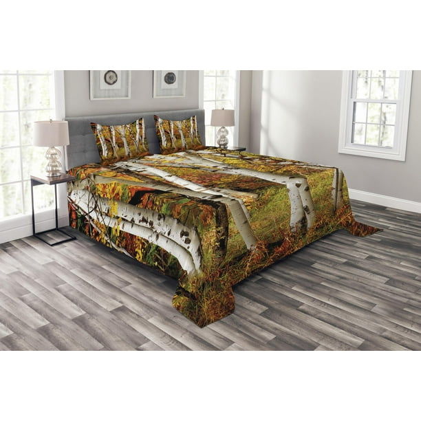 Fall Bedspread Set Queen Size, White Fall Birch Trees with Autumn