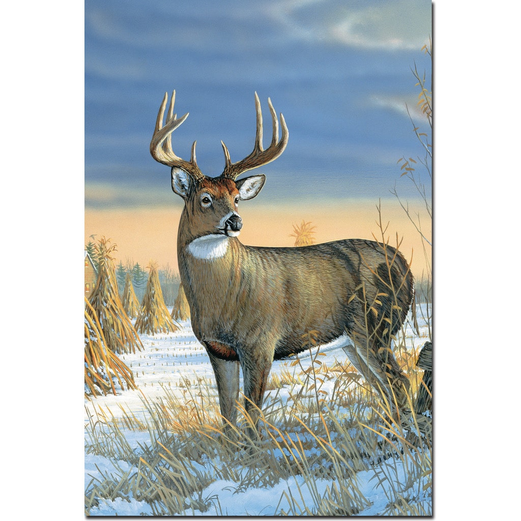 WGI Gallery 'Whitetail Deer in Winter' Wall Art Printed on Wood