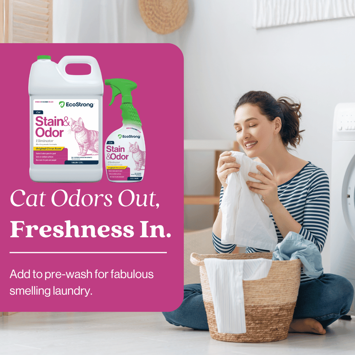 Cat Stain and Odor Remover: Enzyme Urine Odor Neutralizer - Stain Remover (32 oz and 1 Gallon)