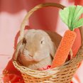thumbnail image 4 of 3pcs Rabbit Chewing Toys Corn Core Hamster Toys Carrot-shaped Bunny Biting Toys, 4 of 8