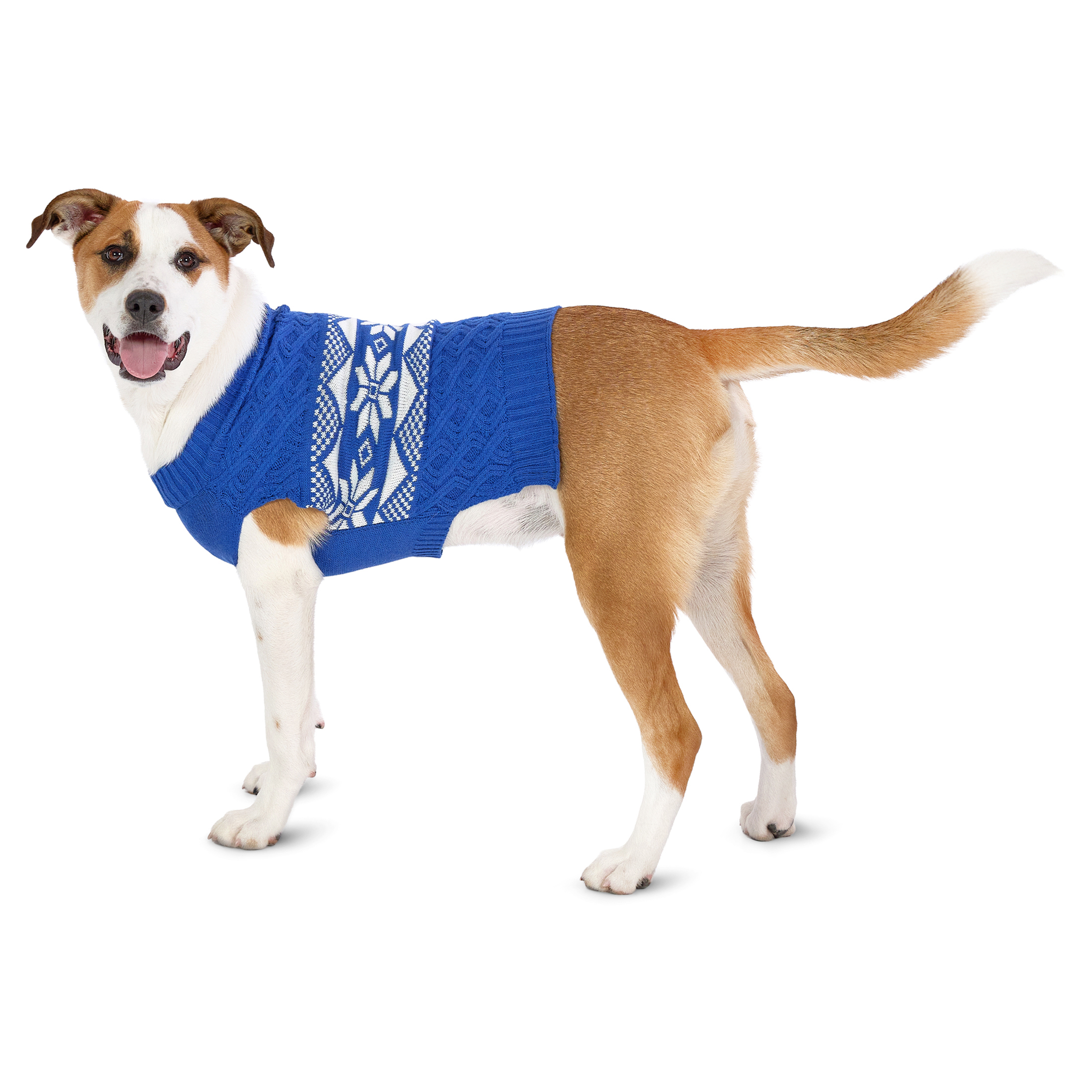 Vibrant Life Holiday Pet Sweater for Dogs, Snowflakes, Blue, Medium