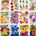 thumbnail image 1 of 90 piezas de flores prensadas secas reales, flores prensadas en seco para resina, flores prensadas naturales, hojas, flores prensadas secas coloridas para manualidades, velas Je, 1 of 4