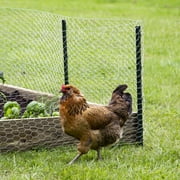 Expert Gardener Powder Coated Steel Fence U Post, Green, 4
